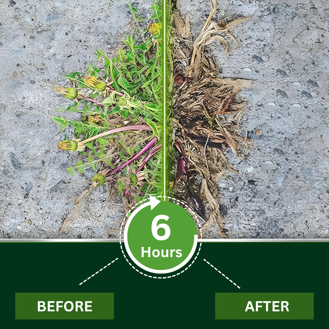 Official Store:Aonreef™ 2 in 1 Max Power Herbicide - 6-Hour Action – No more waiting