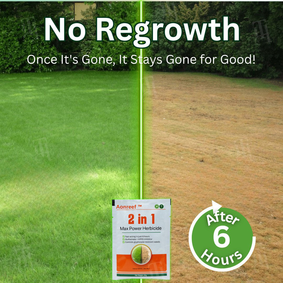 Official Store:Aonreef™ 2 in 1 Max Power Herbicide - 6-Hour Action – No more waiting
