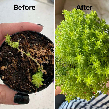 2+1 Free | Faster Plant Recovery