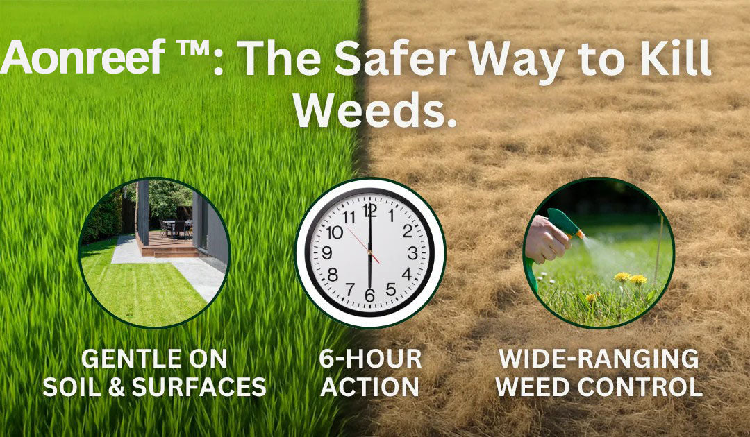 Official Store:Aonreef™ 2 in 1 Max Power Herbicide - 6-Hour Action – No more waiting